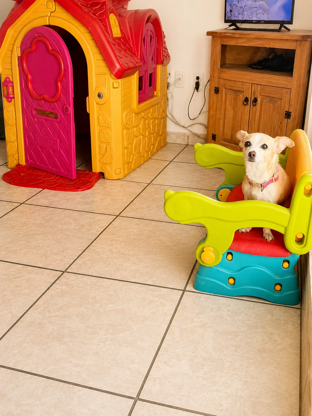 Indoor room with a playhouse and a small dog sitting in a child-sized chair.