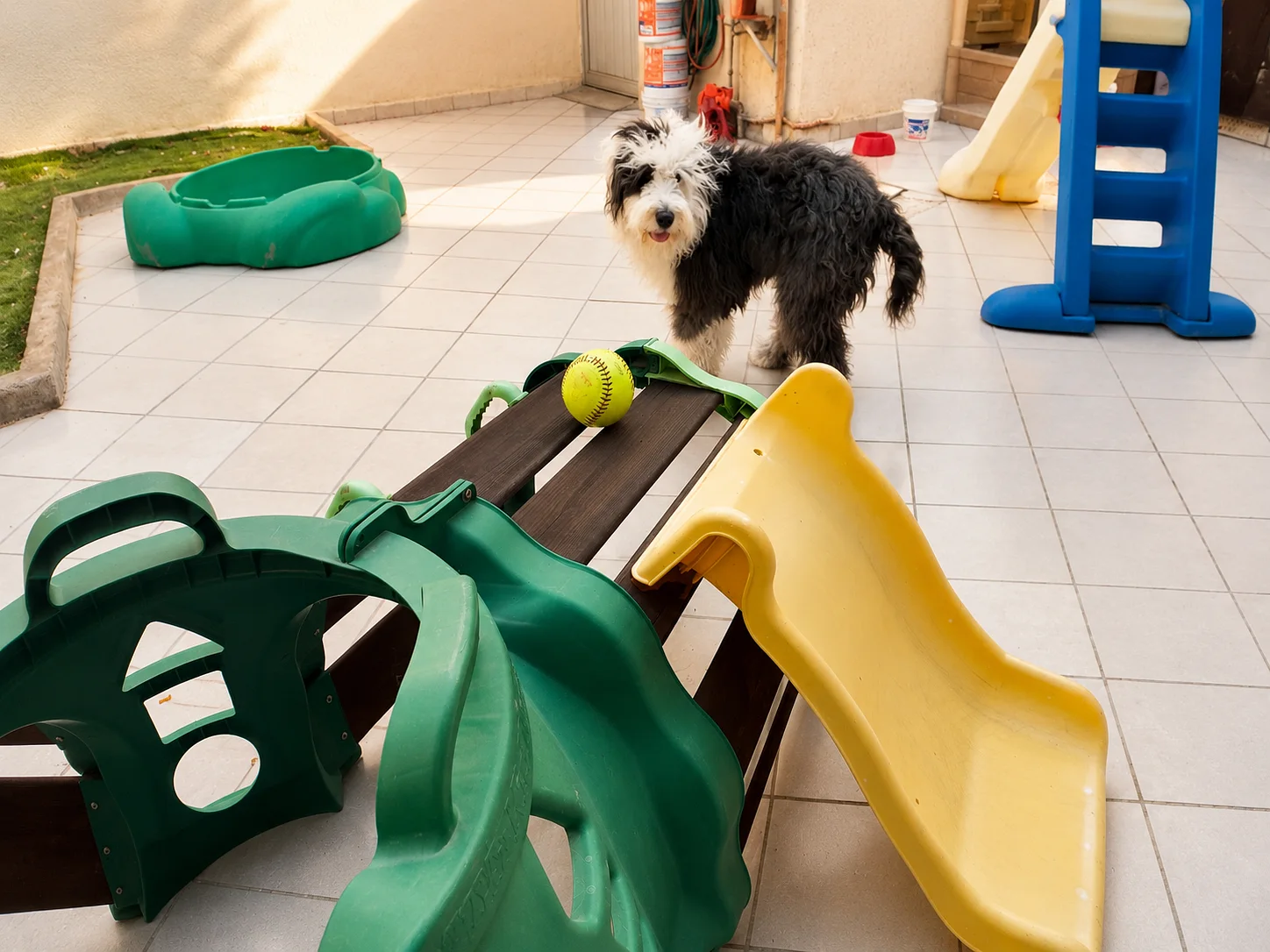 Villa CanInna play patio with ramps, slides, and a daycare dog.