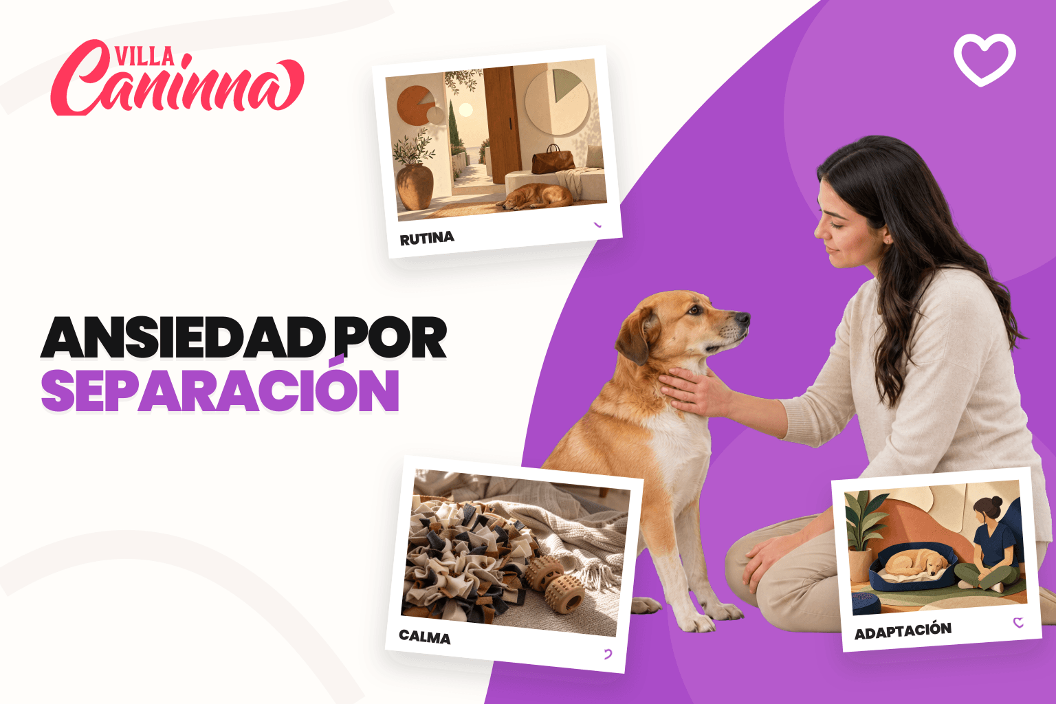 Perro tranquilo junto a su tutora practicando una separacion corta antes del hospedaje.