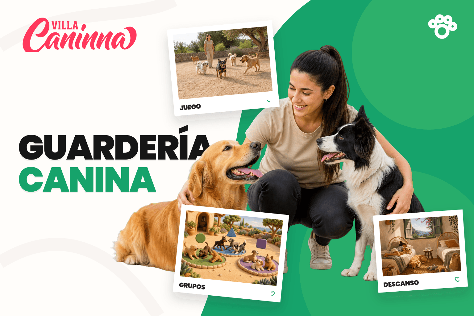 Grupo pequeño de perros sociables en guarderia con supervisión y espacios de descanso.