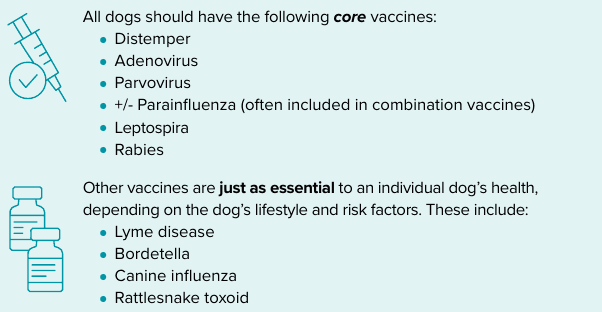 AAHA vaccine chart that includes Leptospira, for discussing the locally appropriate vaccination plan with the dog's veterinarian.