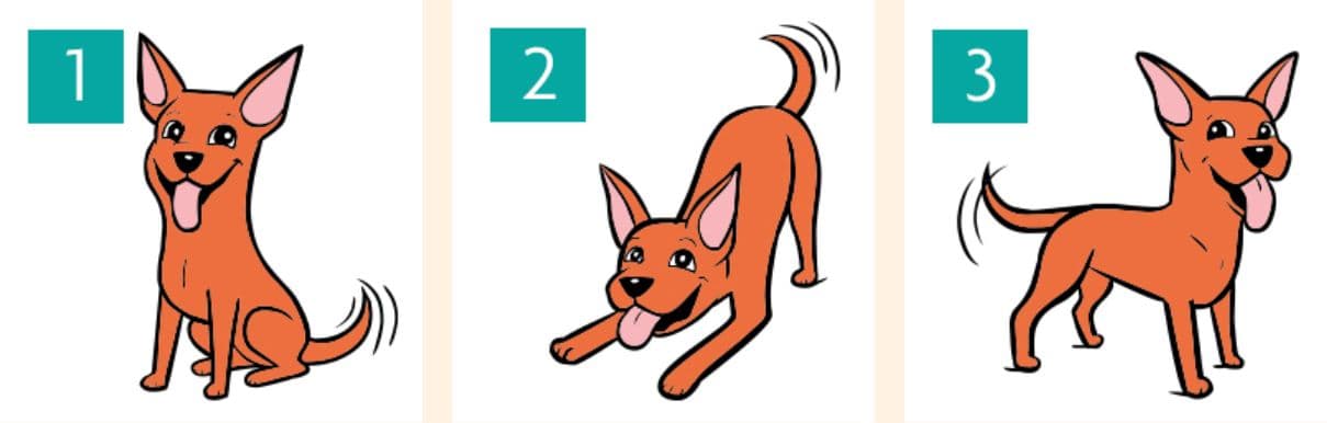 RSPCA visual guide to relaxed dog postures, useful when observing whether a dog can rest without tension during a facility visit.