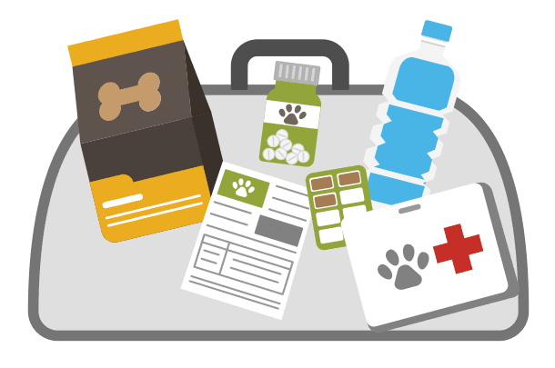 Detalle del documento original de CDC con un kit de emergencia que reúne alimento, agua, medicinas, documentos y botiquín.