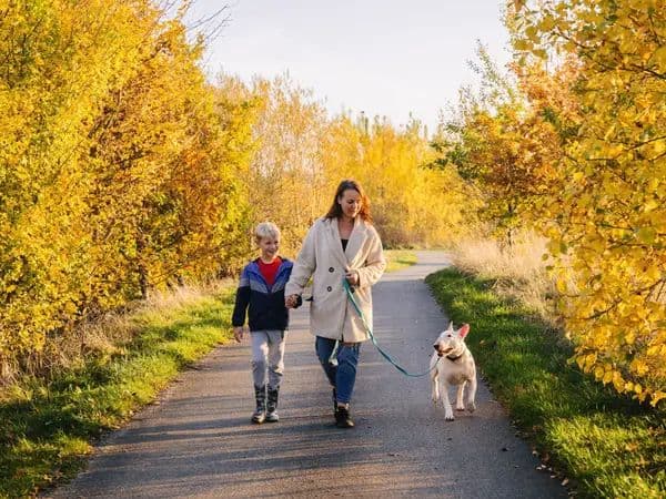 Dogs Trust example of a dog walking with its family while the lead hangs in a visible curve rather than staying tight.