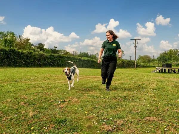 Fotografía de la guía de llamado de Dogs Trust con una cuidadora y un perro corriendo juntos por un campo de práctica.