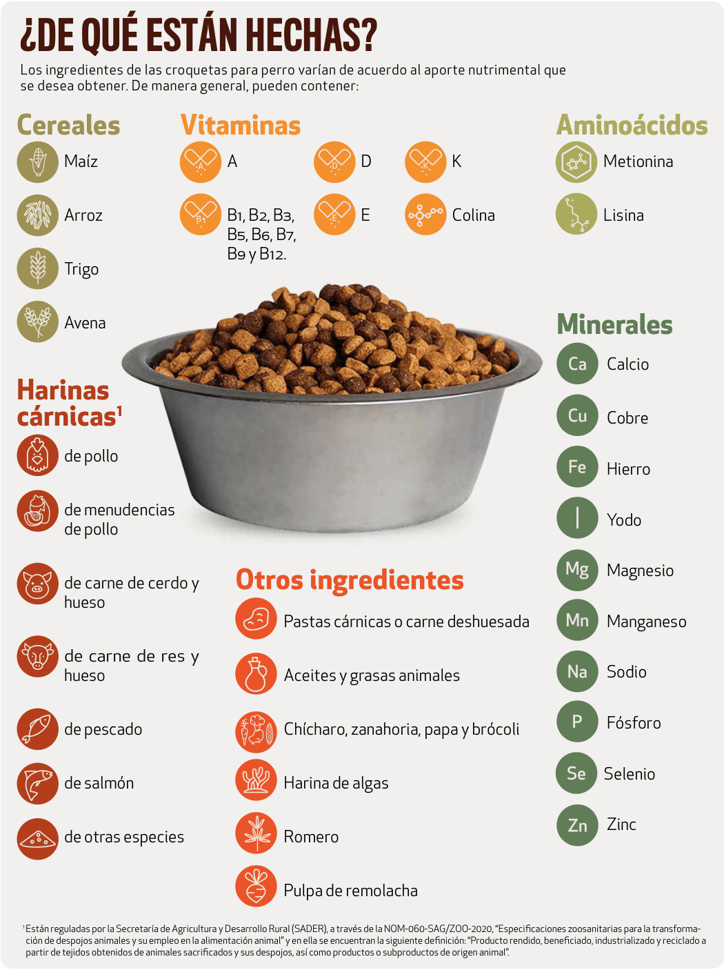 Infografía original del estudio de Profeco de julio de 2023 con grupos de ingredientes de las croquetas: cereales, harinas, grasas, vitaminas y minerales.