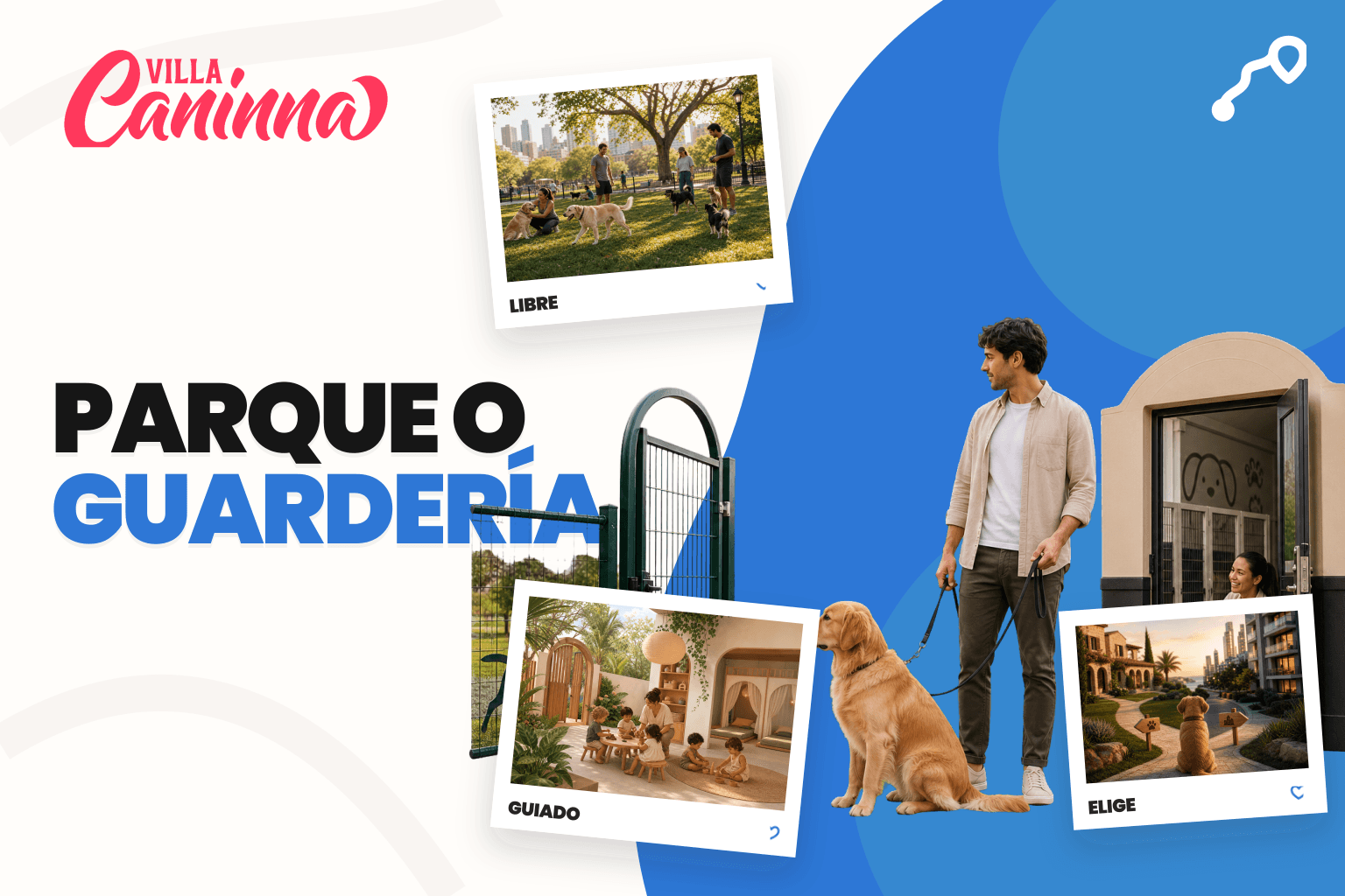 Perros conviviendo en un espacio controlado con supervisión y separacion por tamaños.