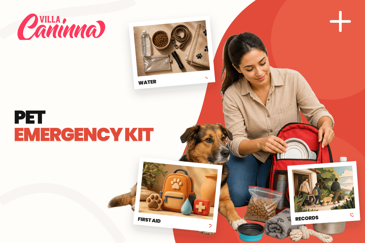 Emergency backpack with leash, records, water, food, and a photo of a dog and cat.