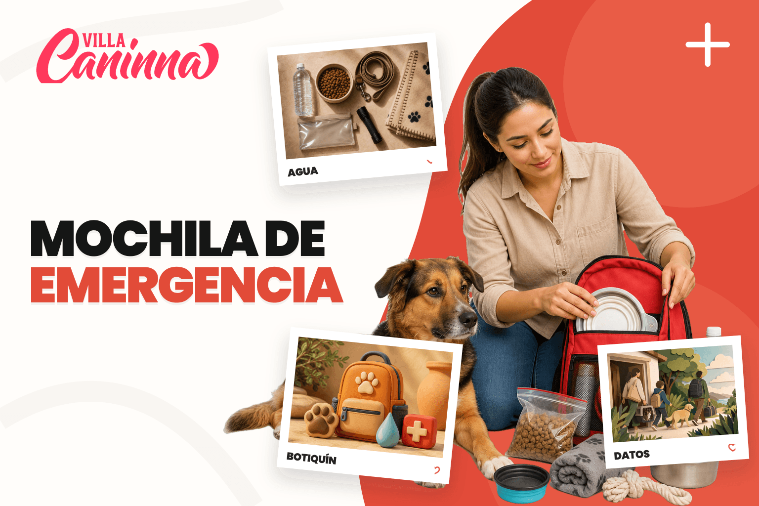 Mochila de emergencia con correa, cartilla, agua, alimento y una foto de un perro y un gato.