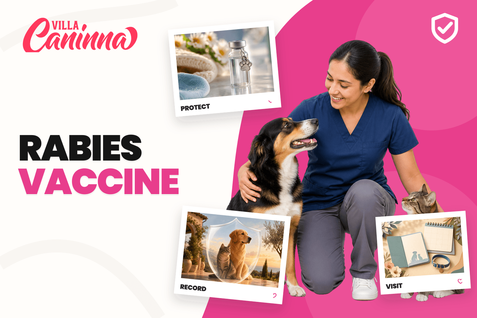 Calm dog and cat during a rabies vaccination campaign with a veterinarian.