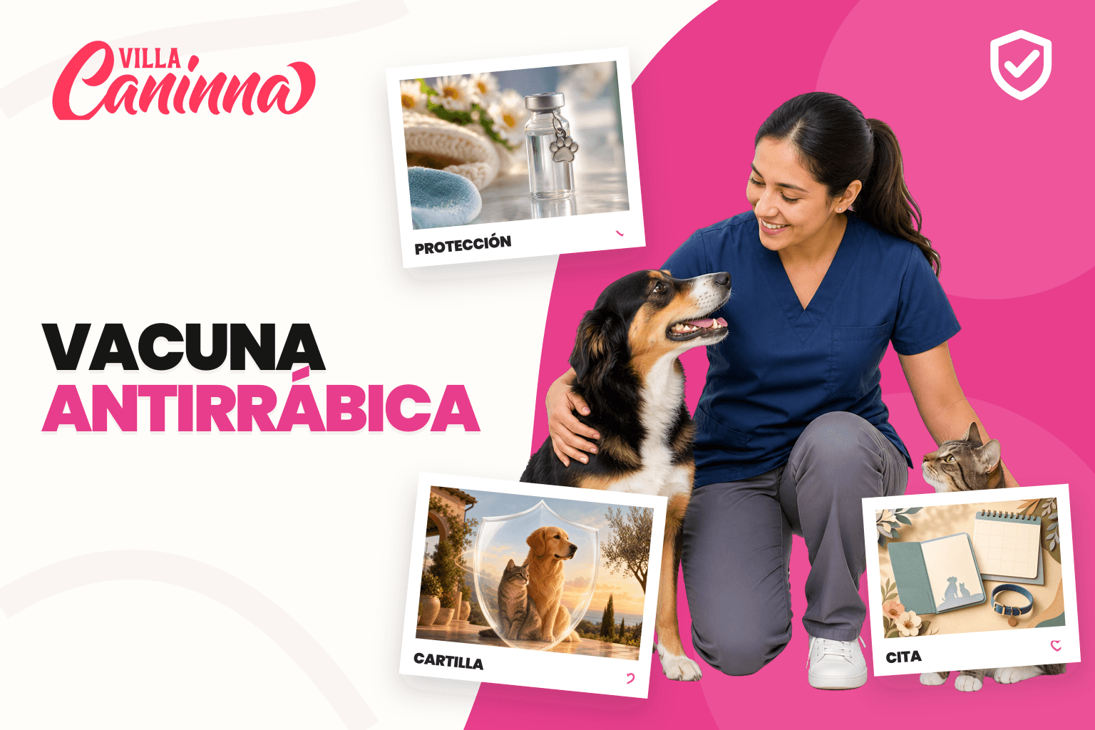 Perro y gato tranquilos durante una jornada de vacunación antirrábica con una veterinaria.