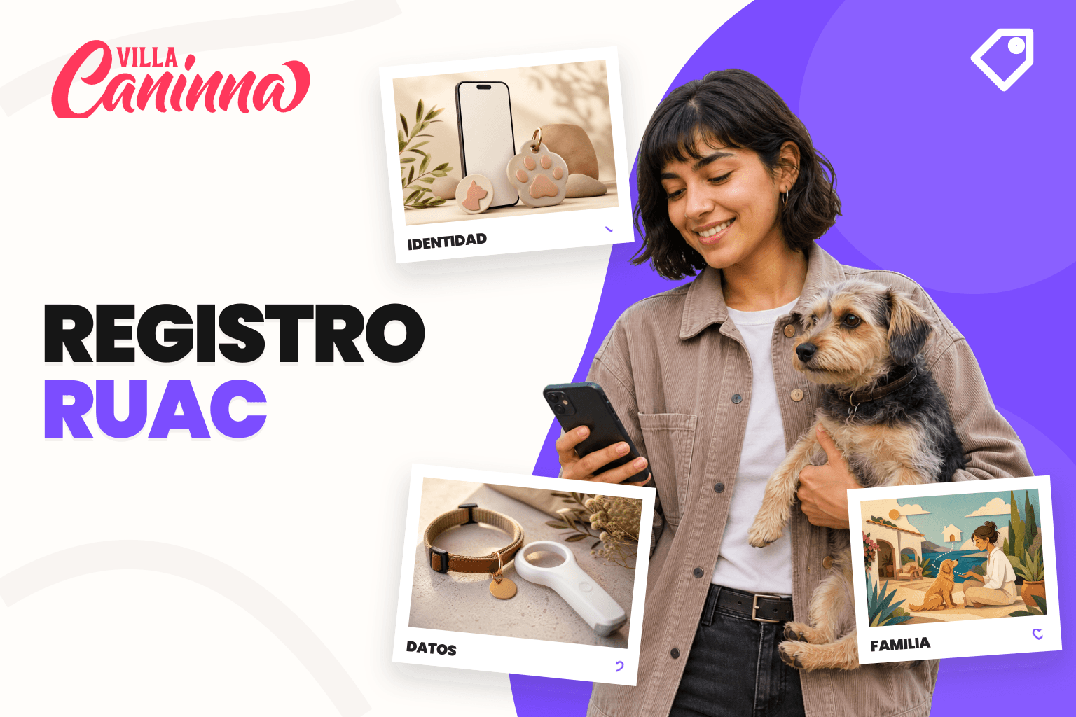 Perro con placa de identificación mientras una tutora registra datos en una computadora.
