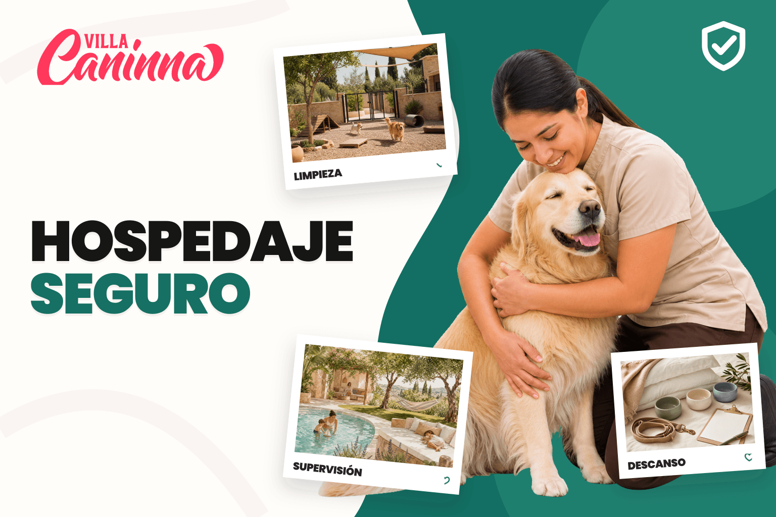 Perros descansando en un hospedaje limpio mientras una cuidadora revisa una lista de ingreso.