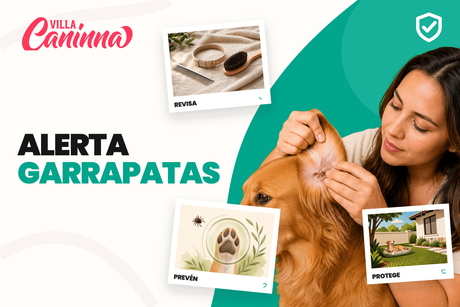 Tutora revisando cuidadosamente el pelaje de un perro después de un paseo para detectar garrapatas.