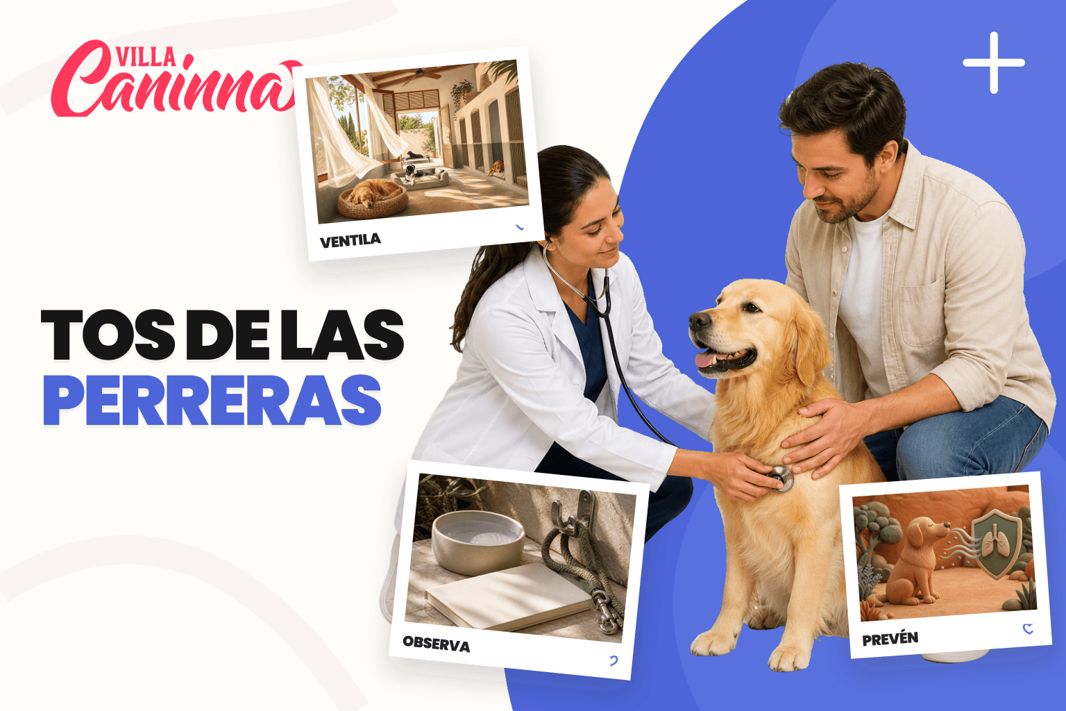 Perro descansando separado de otros perros mientras una cuidadora observa su estado de salud.