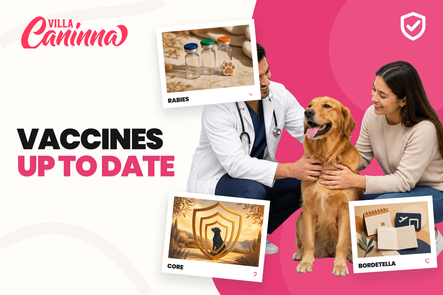 Veterinarian reviewing a dog's vaccination record before daycare intake.